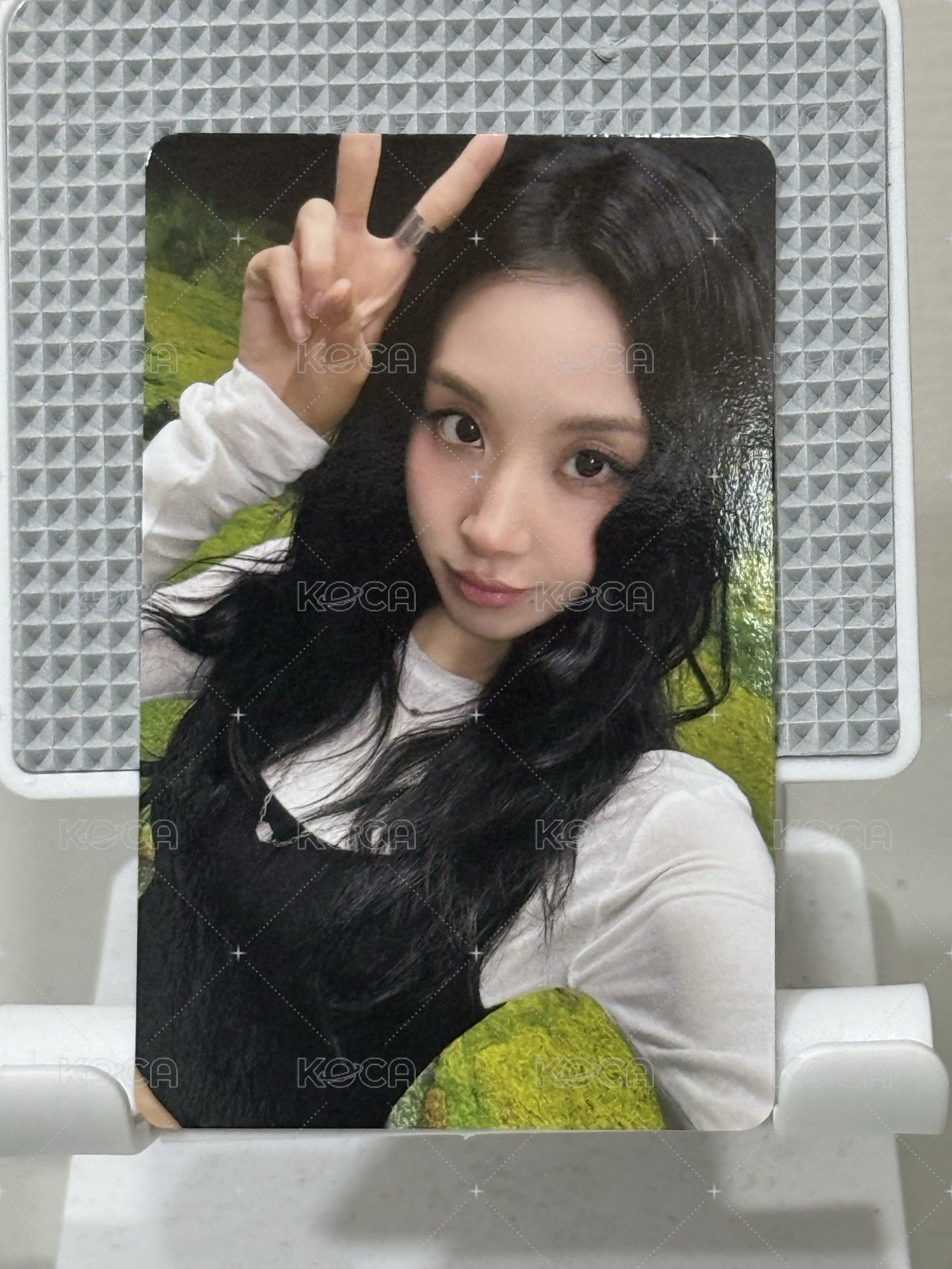 彩瑛