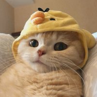 beeee