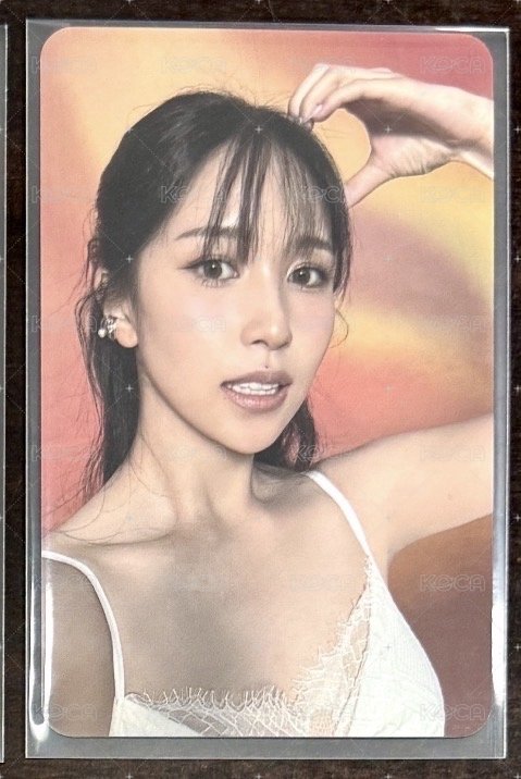 橘熊南