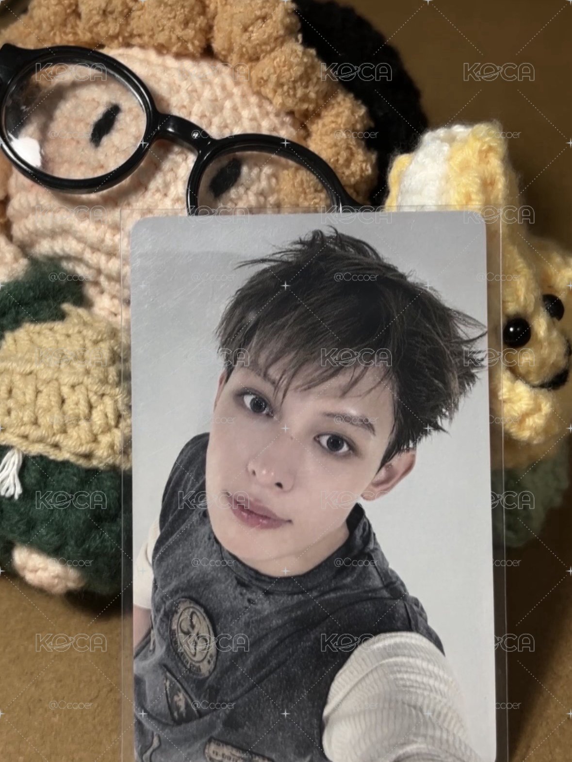 小貓凡凡（yzy4.0幸運凡）