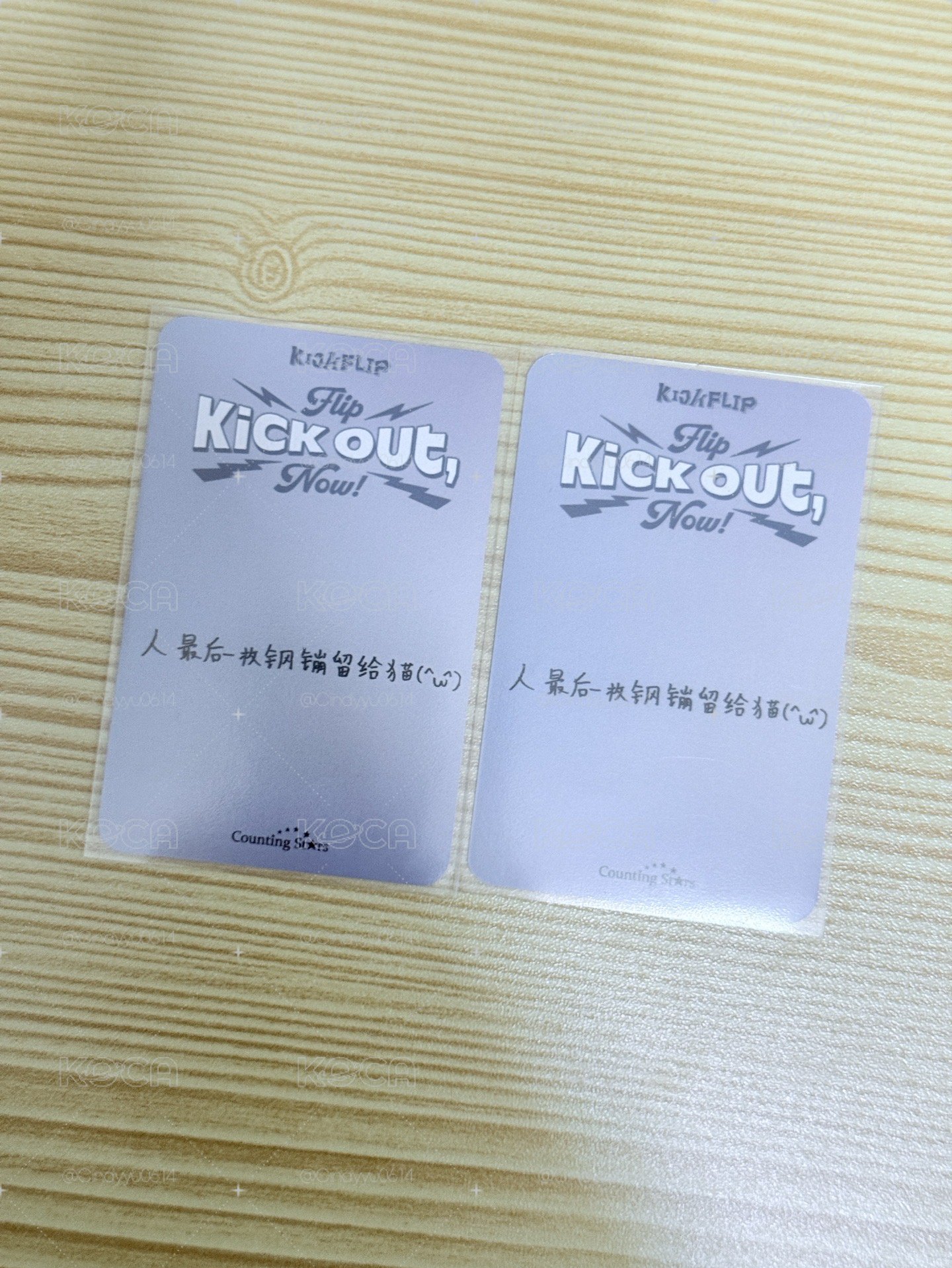 人最後一枚鋼蹦留給貓( ^ω^ )