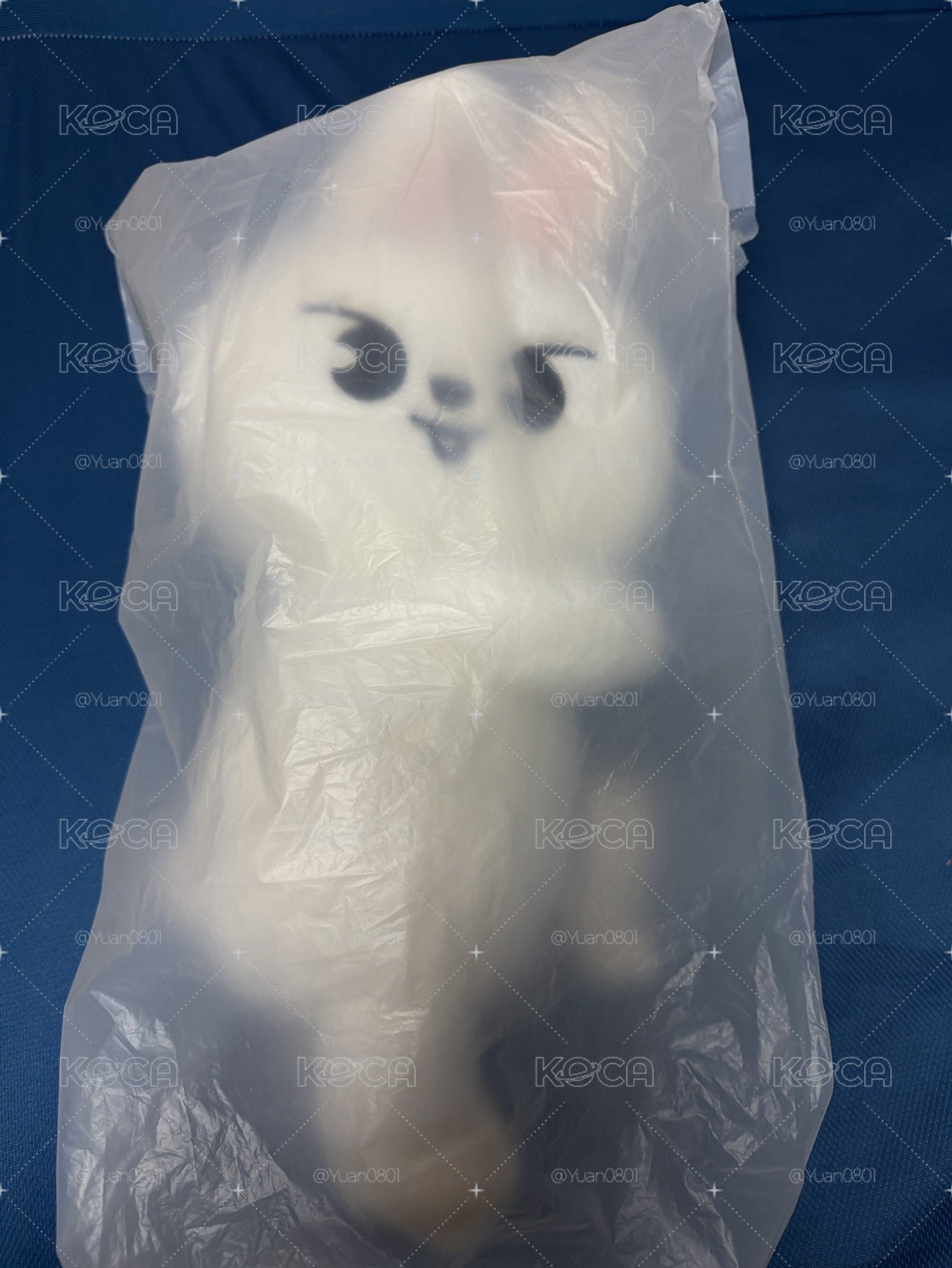 李畢側背娃