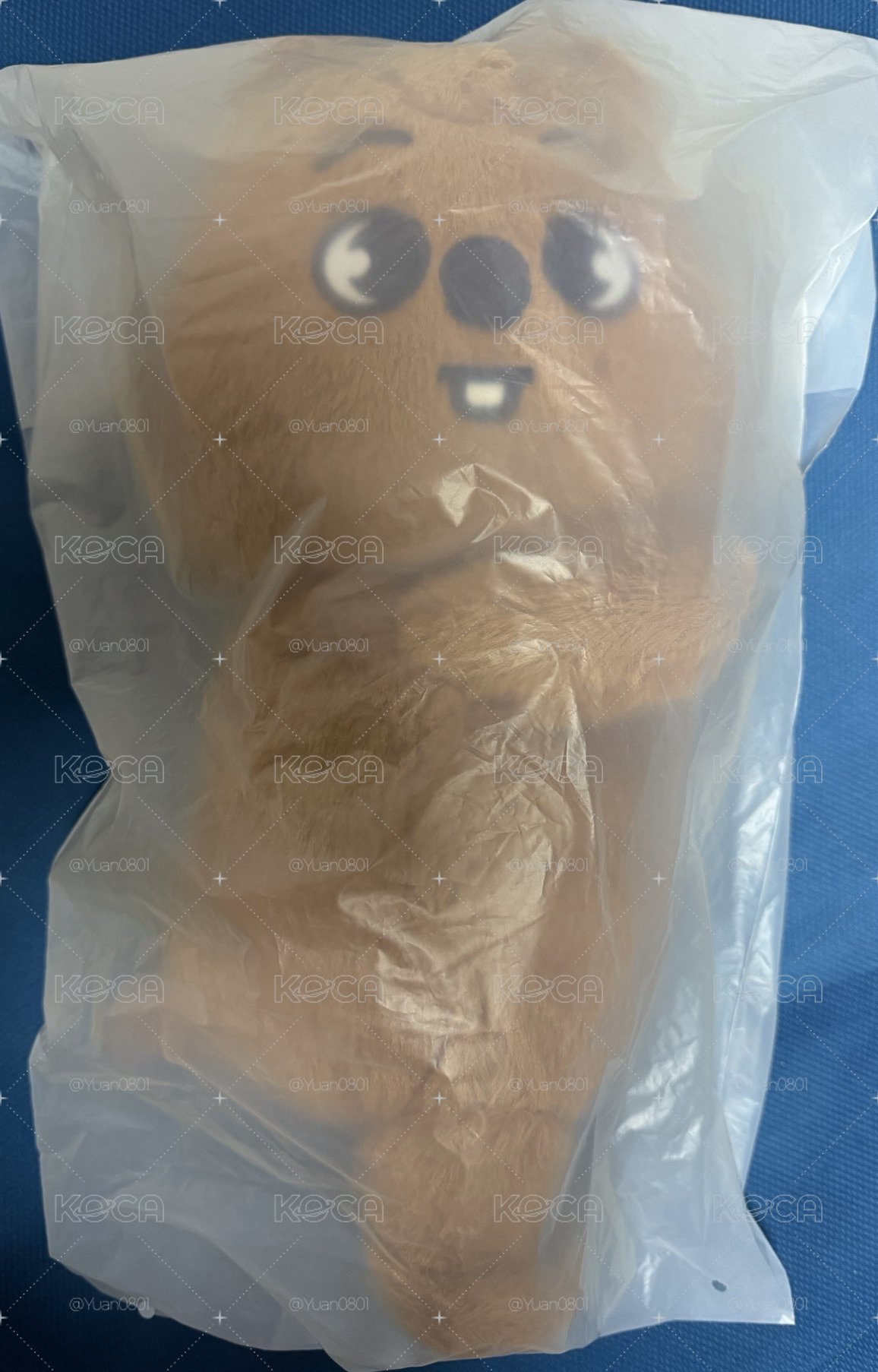 闊卡側背娃