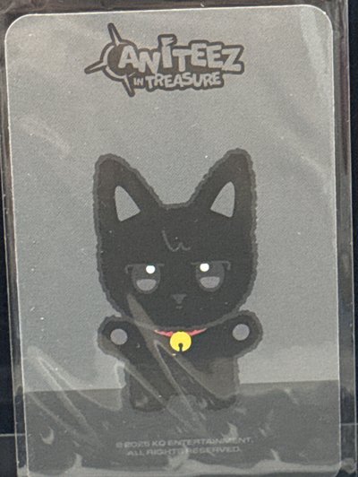 ANITEEZ IN TREASURE 周邊卡 MINI PLUSH