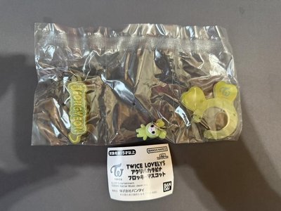 韓國 日本 Twice 登山扣 TWICE LOVELYS 扭蛋 轉蛋 定延 壓克力 扣環 吊飾 三麗鷗 大眼蛙 合售