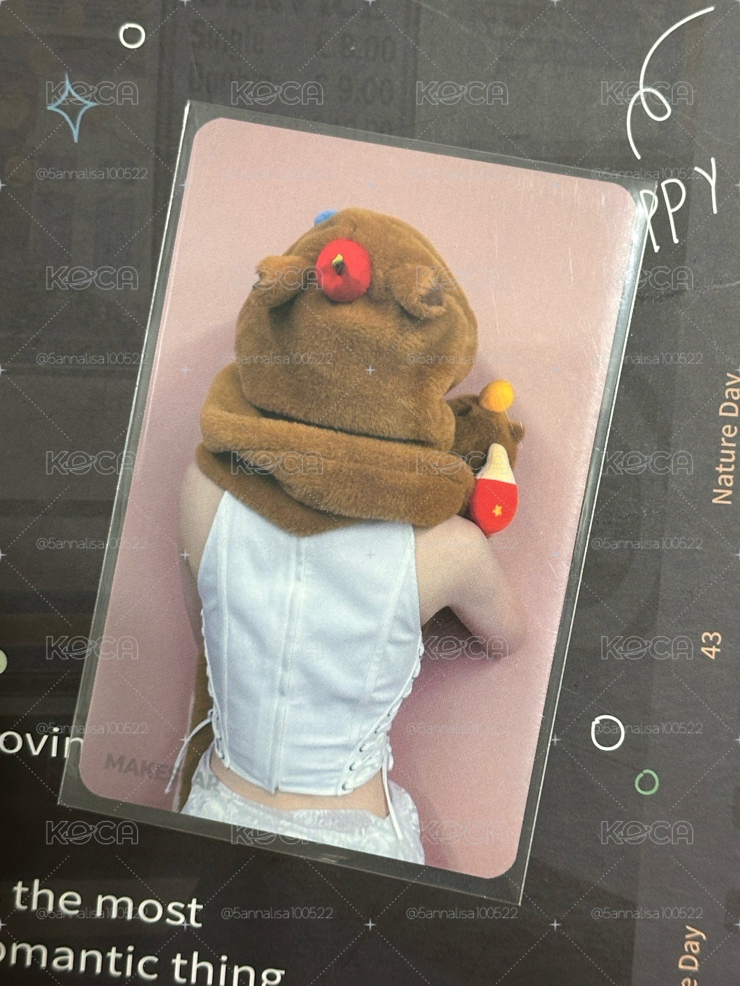 水豚Bae 