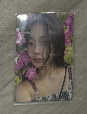 花花預售禮