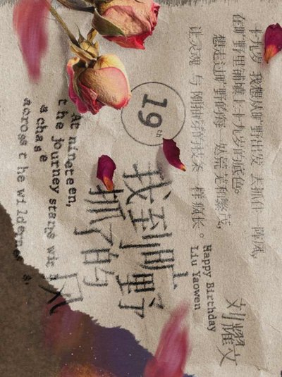 劉耀文19歲無小卡全套