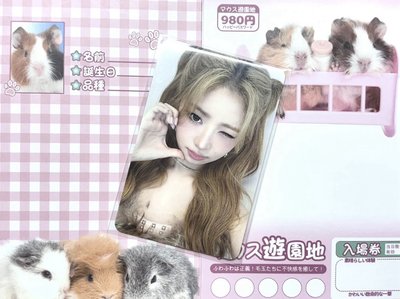 🐱怜怜金髮／白色調區🤍