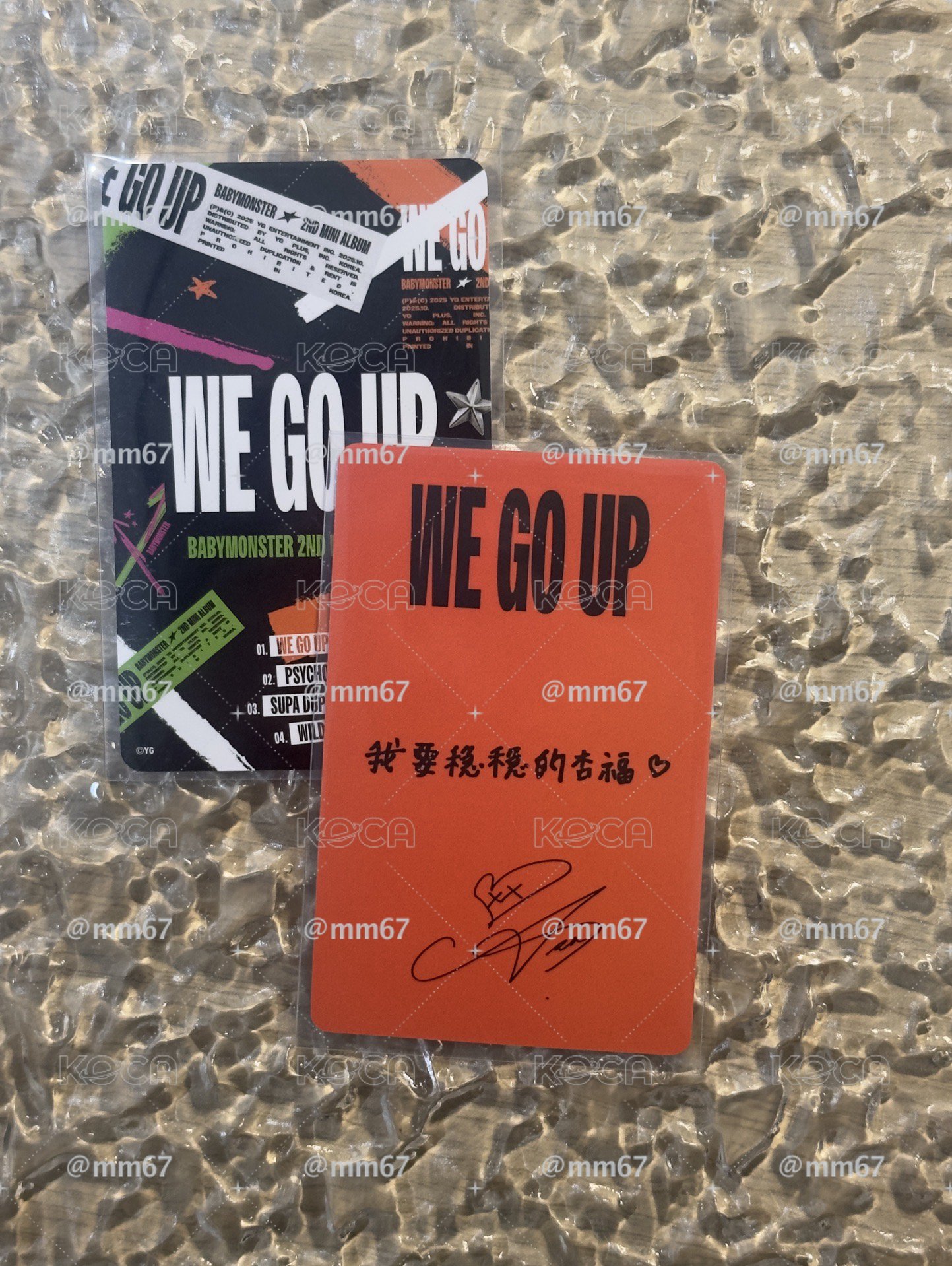 BM 迷二京東特典 中背角