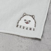 毛球