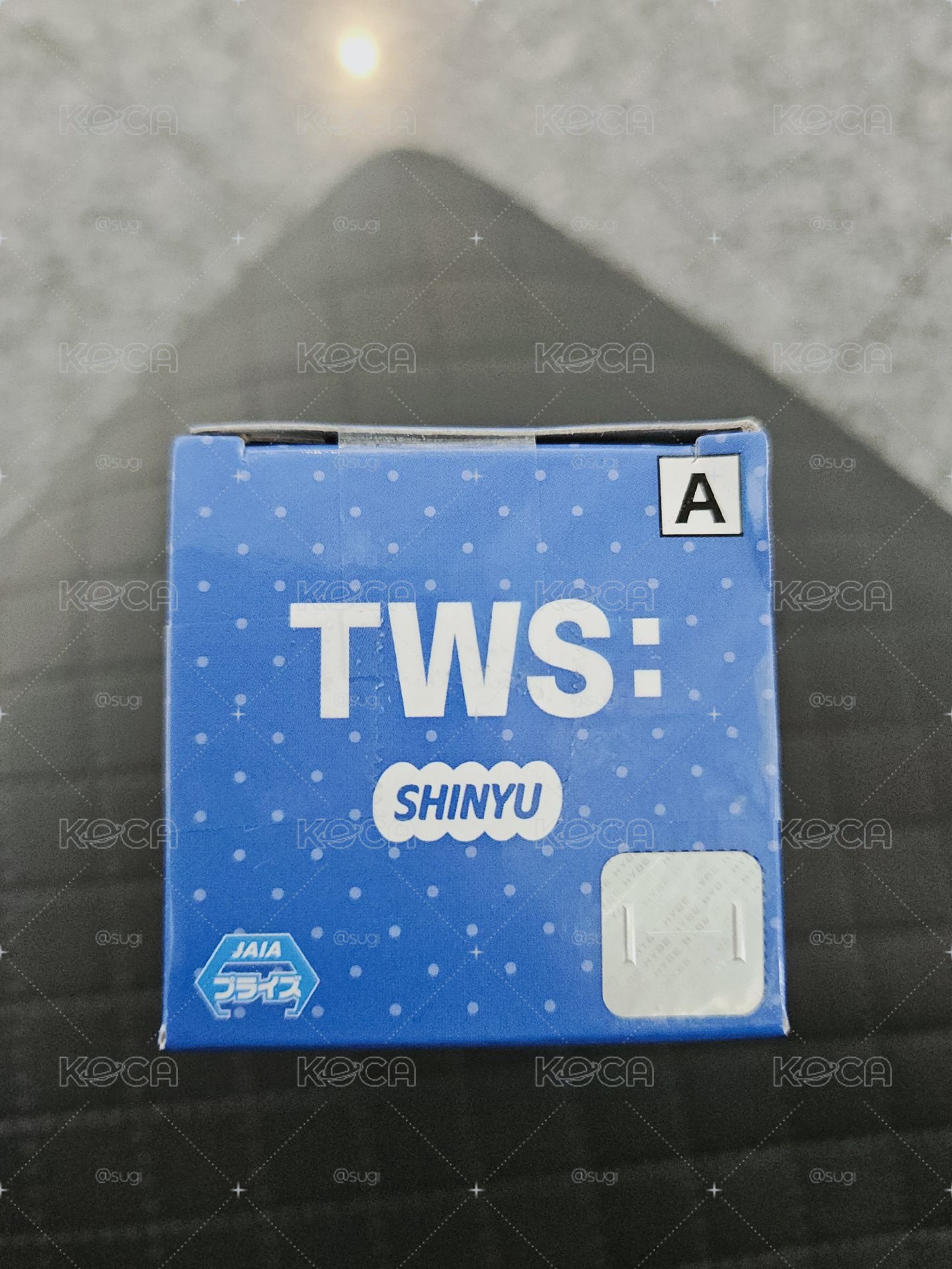 申惟 公仔