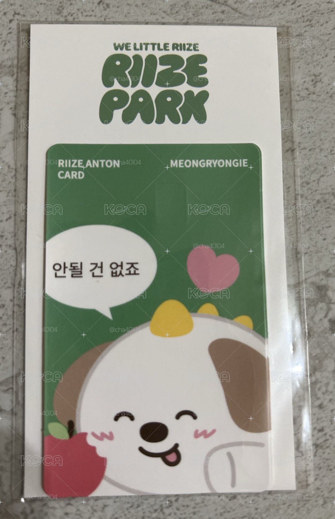全新✅［開立電子發票🧾］RIIZE Park 卡片貼紙 