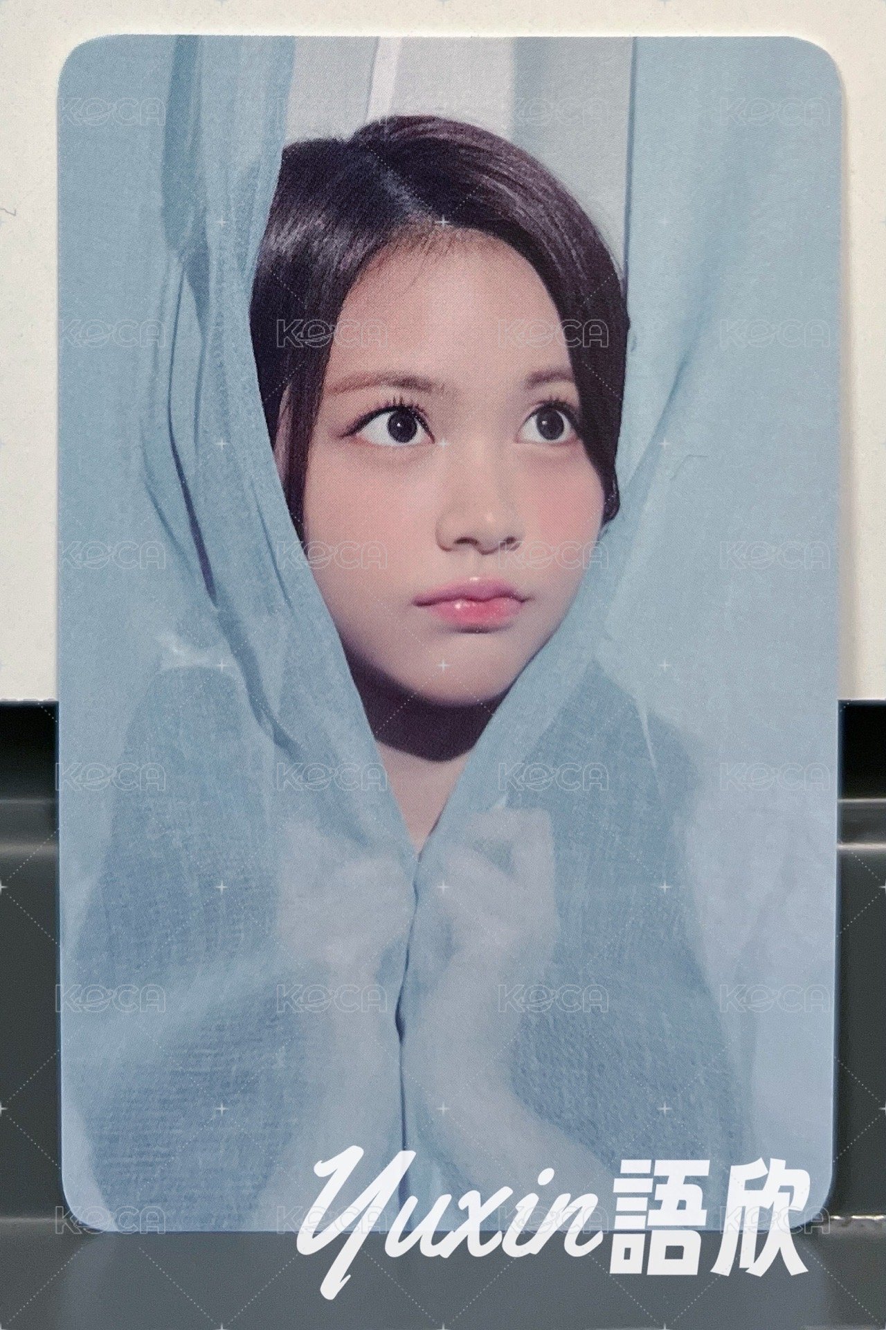 CARMEN A版B款