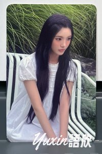 柳河B版D款