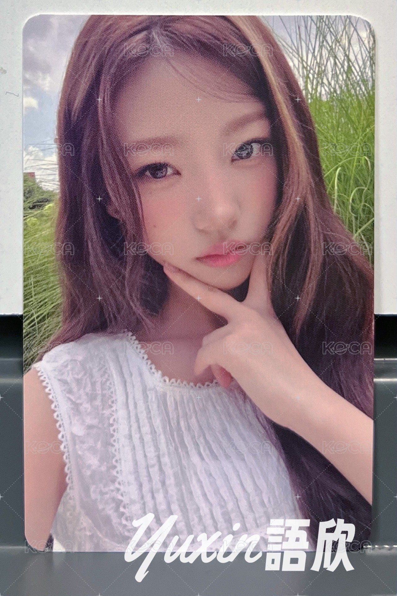 STELLA B版C款