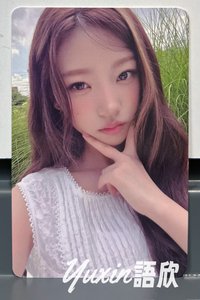 STELLA B版C款