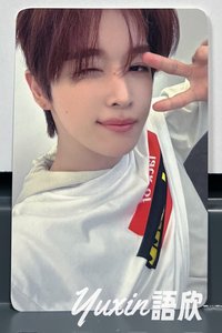 成燦A版C款