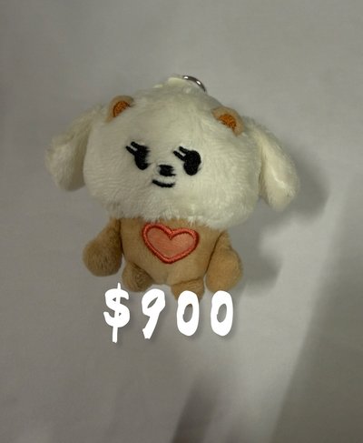 下單請先看說明！！！未按照規定下單會直接取消訂單。