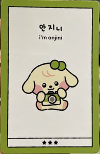 IVE X LINE FRIENDS 周邊卡 IVE X LINE FRIENDS 周邊卡 anjini 小盒娃 身分證
