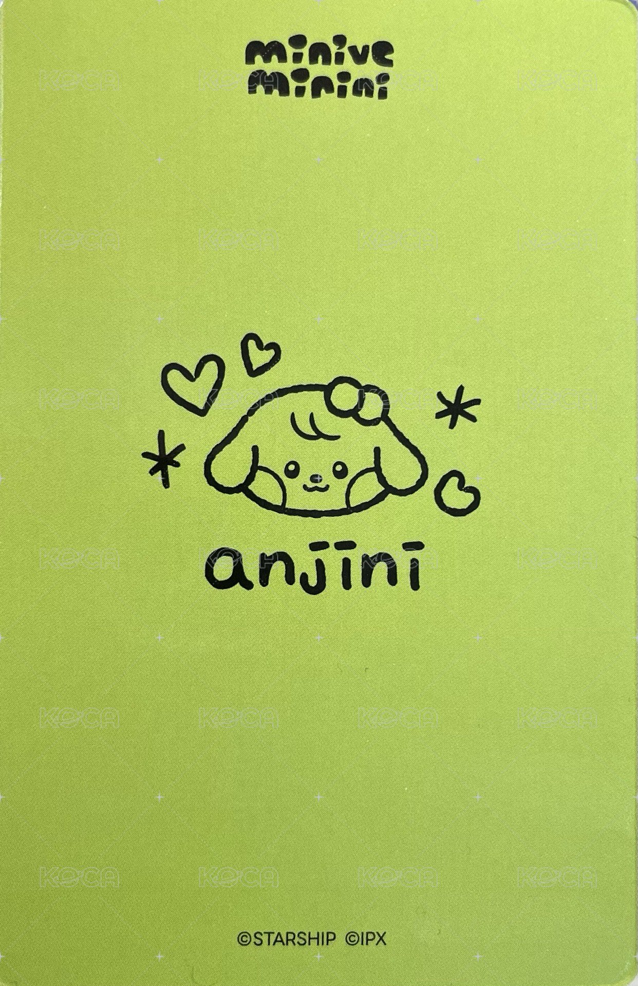 IVE X LINE FRIENDS 周邊卡 IVE X LINE FRIENDS 周邊卡 anjini 小盒娃 身分證 背面