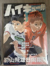 雜誌