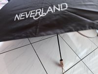 逆應援雨傘