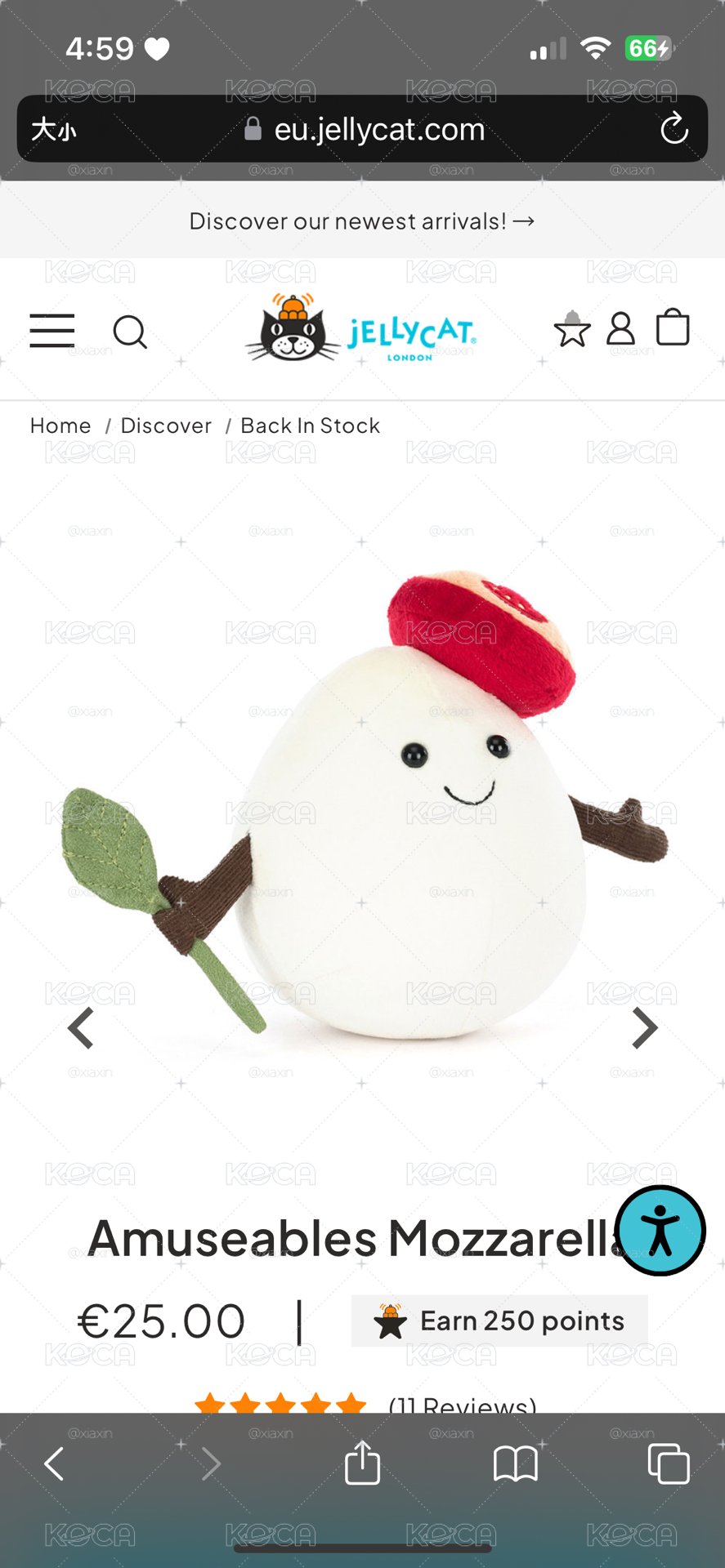 🤍預購 莫札瑞拉起司