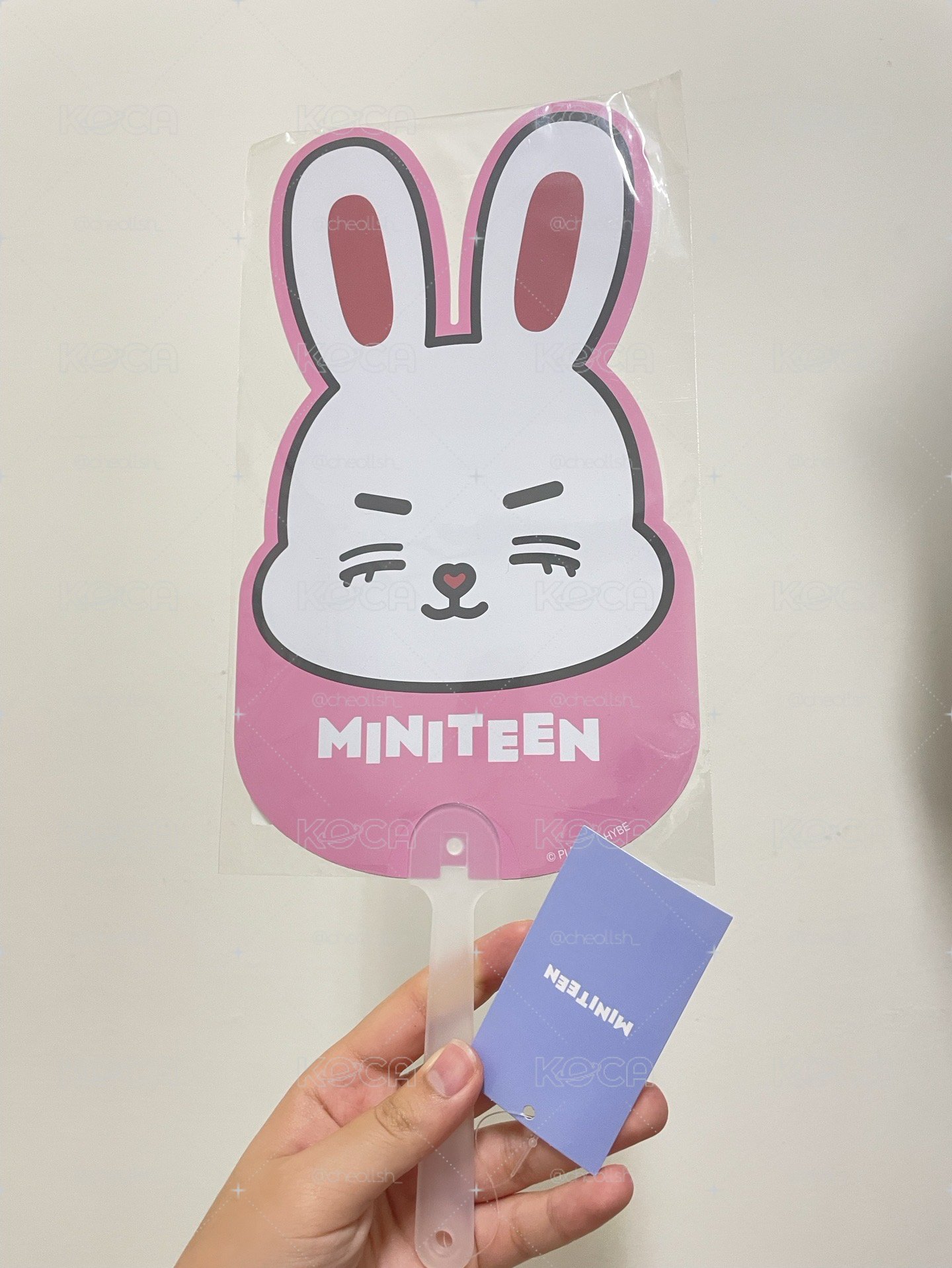 miniteen哲大扇