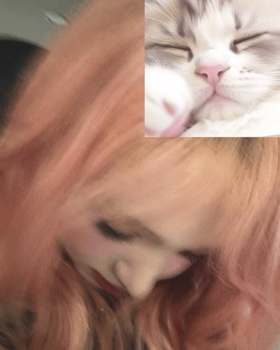 貴包⁄(⁄ ⁄ ⁄ω⁄ ⁄ ⁄)⁄