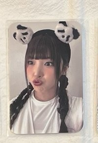 楠藝熊貓友