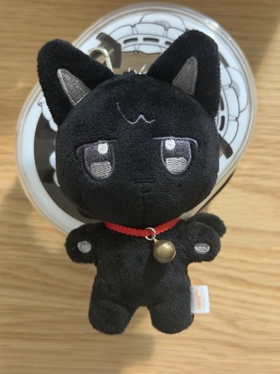 原皮喵🐈‍⬛一代娃