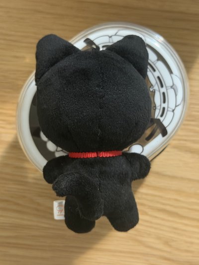 原皮喵🐈‍⬛一代娃