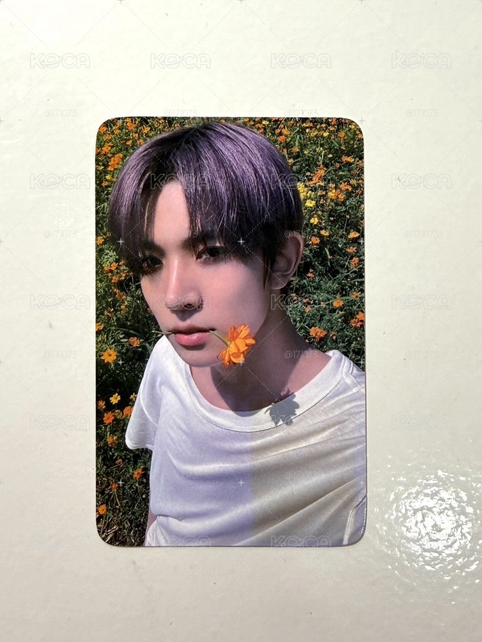 🐹🌼