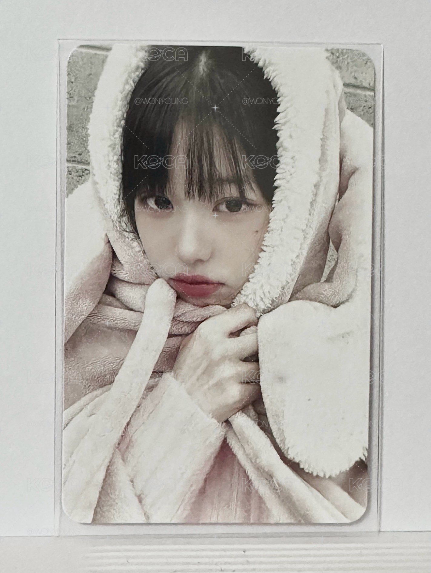 ms兔毯員