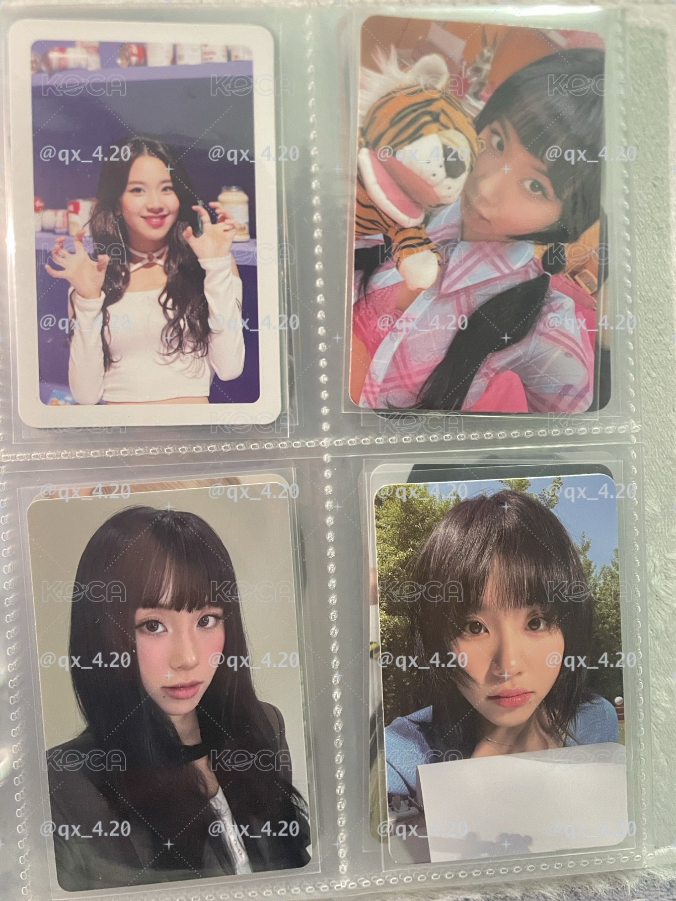 彩小盤