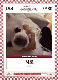 四期會員禮 會員禮卡 FIM CARD LV.4/FP 80