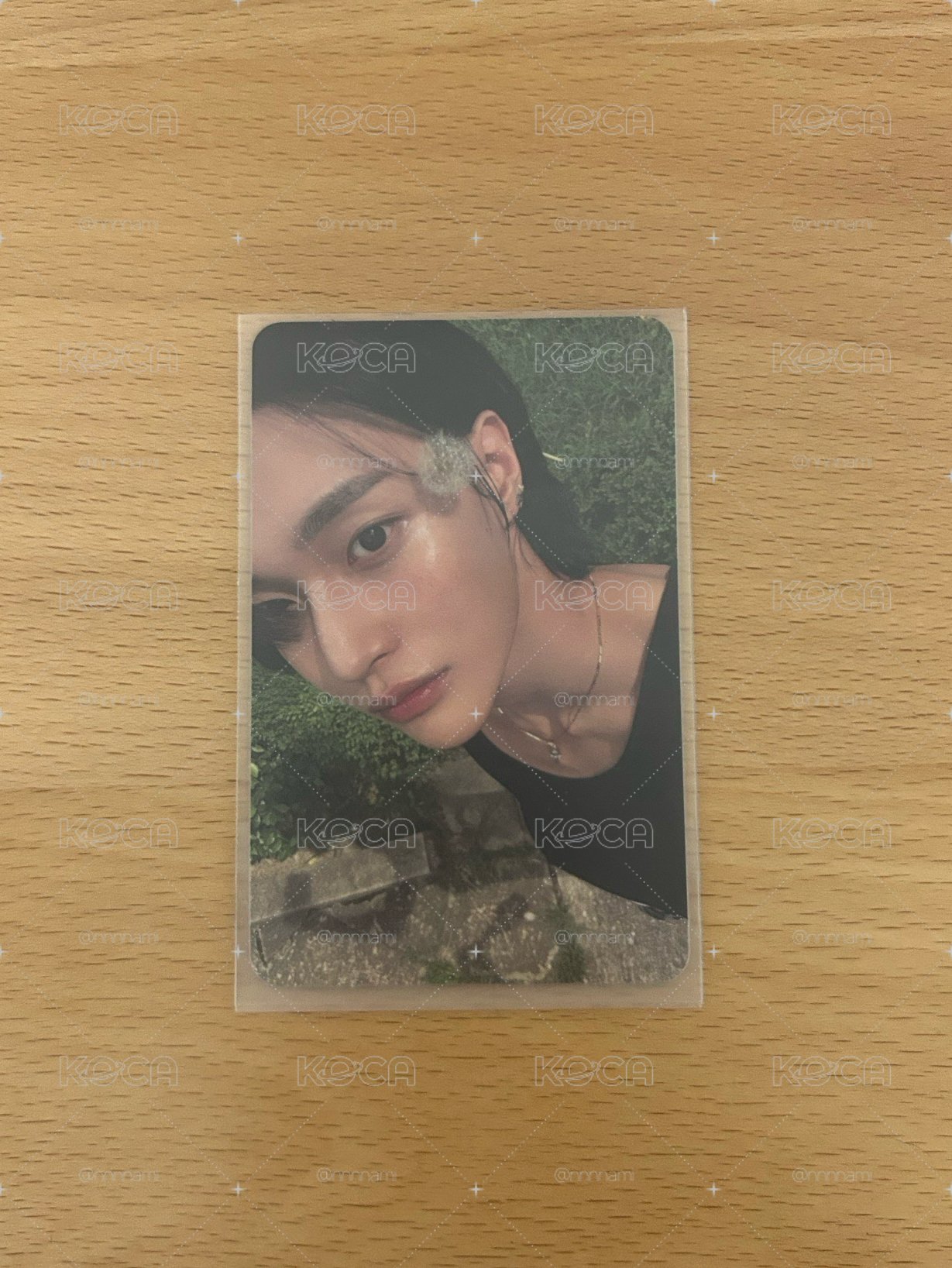 RIIZING EP 專輯卡 PB版 蒲公英彬