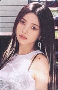 迷七快閃line friends 周邊卡 卡套卡
