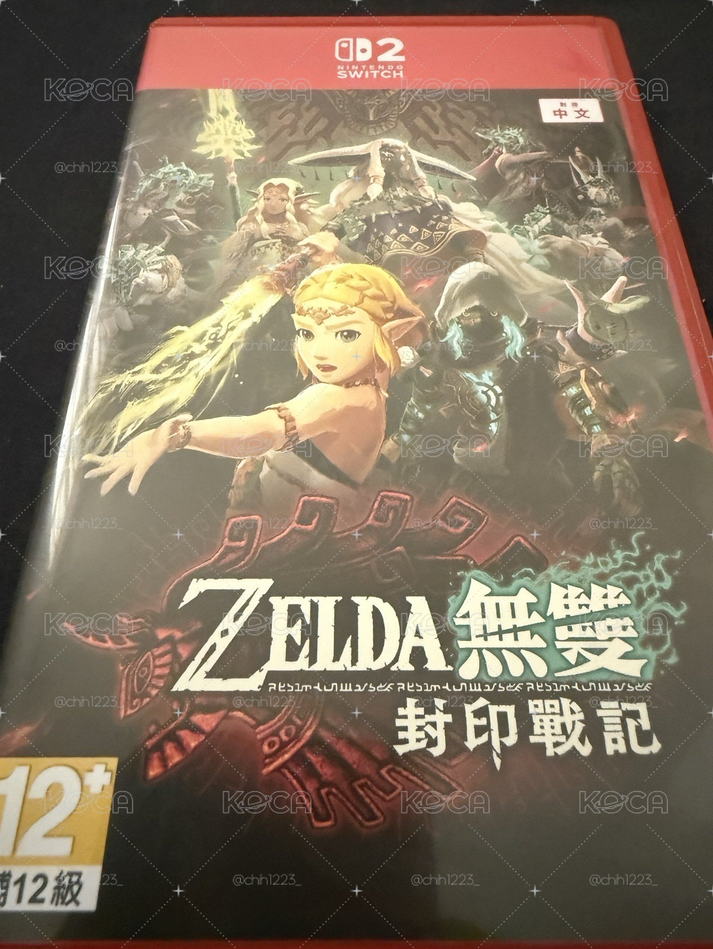 薩爾達無雙封印戰記