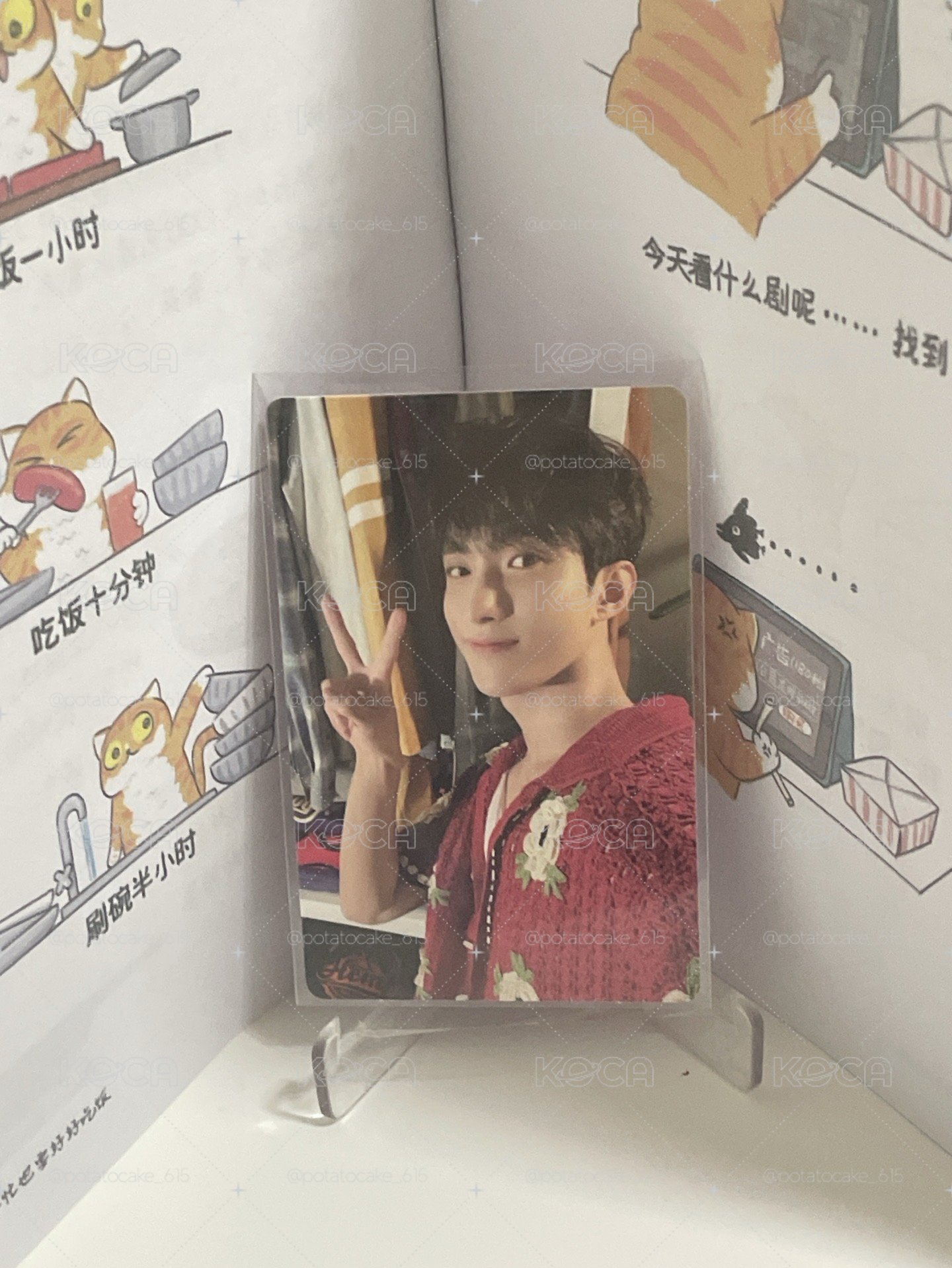 ❤️碩迷11專卡