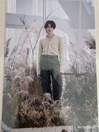 SWEET 明信片 特典