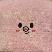 6th FM 毛巾 入場禮