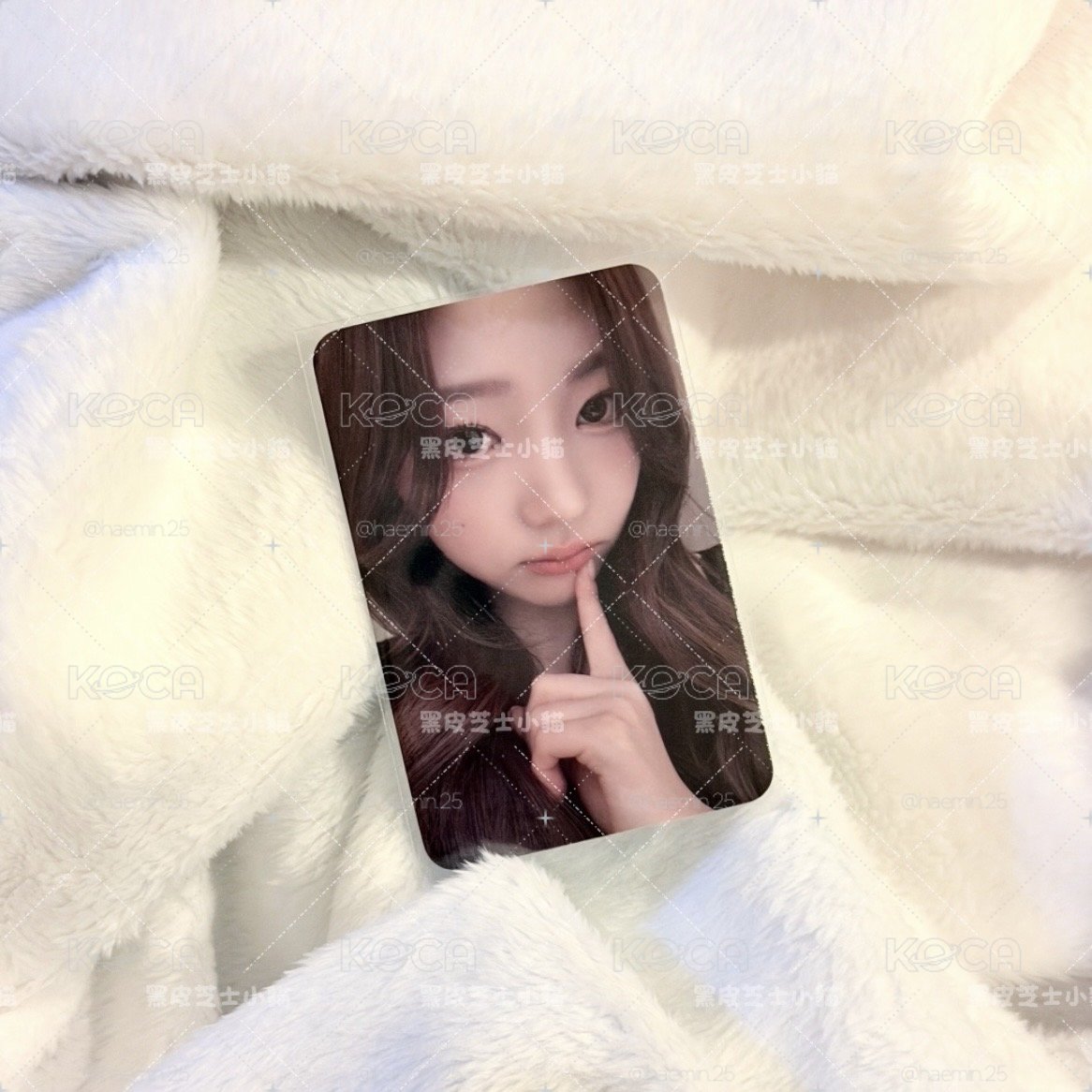 stella mk簽售卡【現貨】