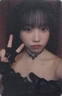 LOVE ALL 阿拉丁 簽售卡 