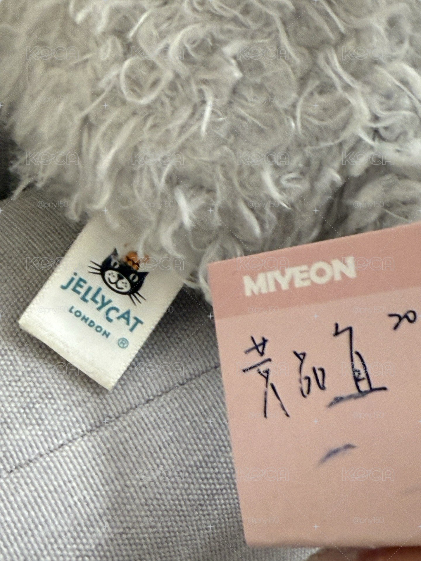 絕版little cat