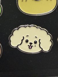 碩