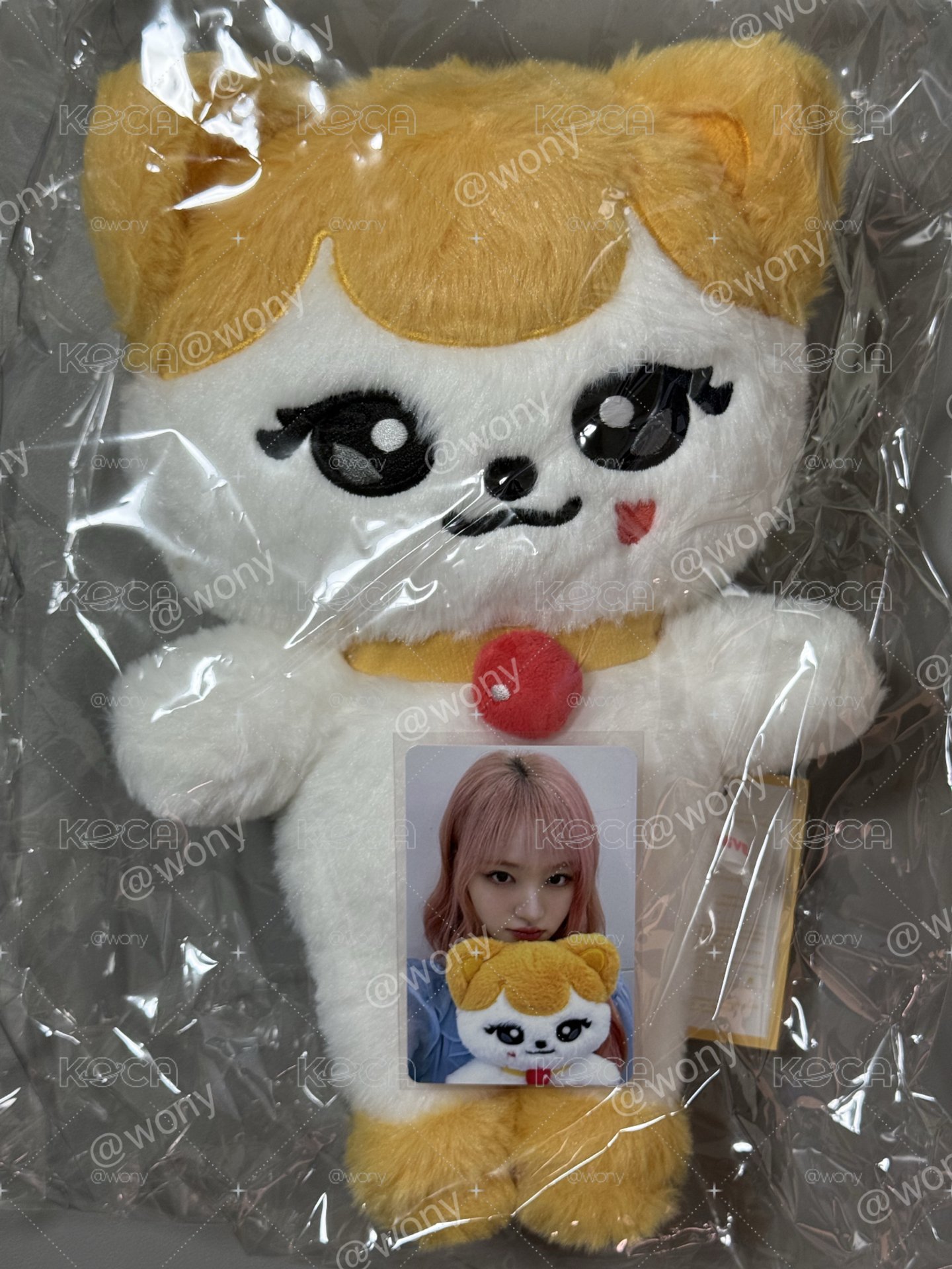 IVE MINIVE 30cm 栗子 大娃 含小卡
