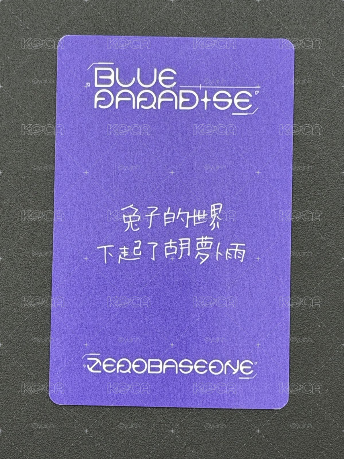 一直娛3.0 韓維辰 中文卡背