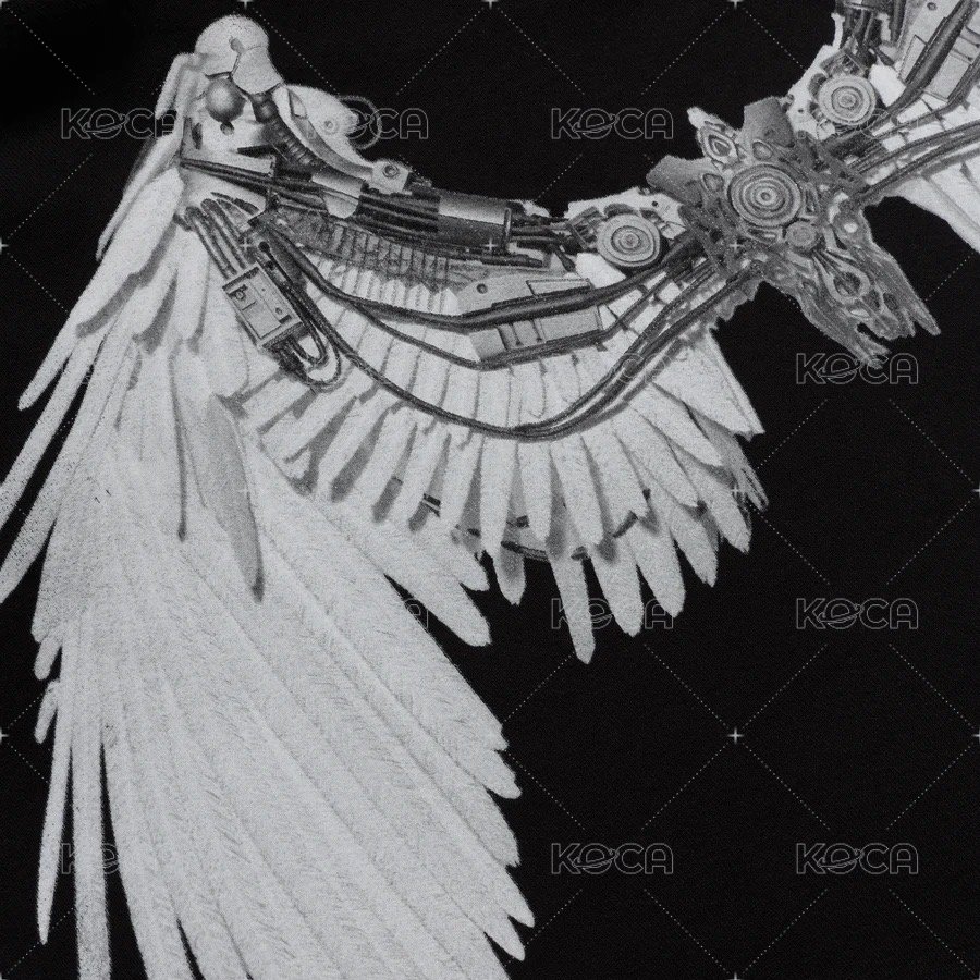 ANYMA X LISA BAD ANGEL 帽T